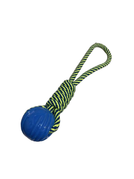 Pelota TPR con Manija