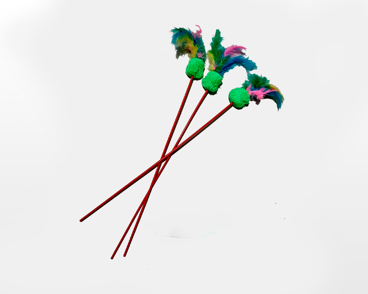 CA�ITA c/ POMPOM GATO